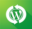 WordPress Conversion Service