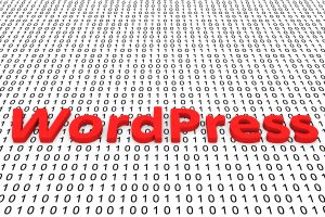 WordPress conversion service